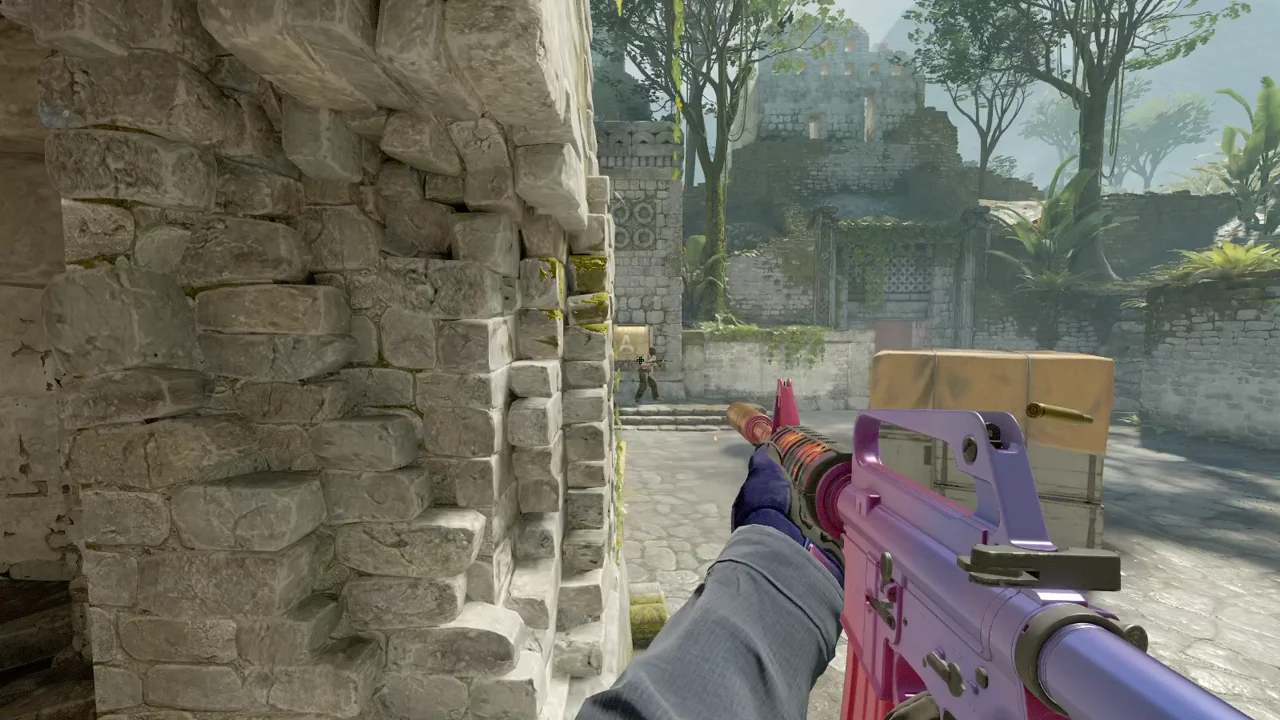 highlight